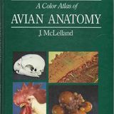 Color Atlas of Avian Anatomy