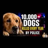 Police Kill 10,000 Dogs Every Year… Why Does Nobody Care?