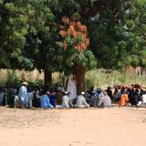 Le journal du 23 juin 2026 - Paix au Sahel et campagne agricole