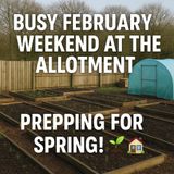 🎧 🌱 Busy February Weekend at the Allotment: Prepping for Spring! 🏡
