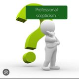 T.A.32. Professional scepticism