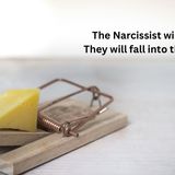 Narcissists will never win. They will fall into their own trap