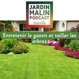 Entretenir le gazon et tailler les arbres