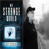 Strange Things & Mysterious Disappearances in the Woods with Steve Stockton