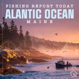 "Maine Fishing Report: Chilly Temps, Stormy Seas, and Tasty Catches"