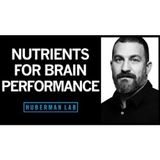 Nutrients For Brain Health & Performance _ Huberman Lab Podcast #42