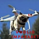 #Verona I dro-cani domineranno il mondo?