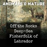 013 - Chapter 12 Why Do Animals Become Extinct