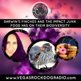 Darwin's Finches And The Impact Junk Food Has On Their Biodiversity