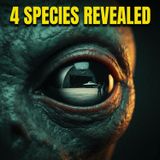 The Insider Who Saw Too Much: 4 Alien Species, Warp Drives, and the Terrifying 'Hitchhiker Effect'