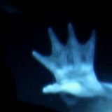 SIRENE, ci sono verità nascoste?!