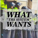 What “The System” Wants