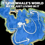 Geography Is Whales: Nature's Traveling Bards