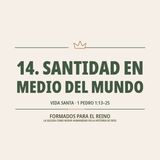 14. Santidad en medio del mundo | Pbro. Marco Muñoz | Formados para el Reino