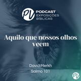 Aquilo que nossos olhos veem ( Salmo 101) - David Merkh
