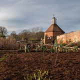 Sheringham and Felbrigg - Soils and Plants
