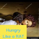 Copy of Hungry like a rat