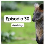 Episodio 30 - Wallaby