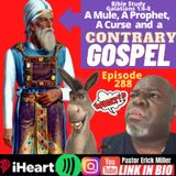 Episode 288 - So a Mule, A Prophet and Paul...
