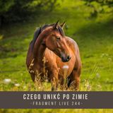 Czego unikać po zimie - fragment live 244