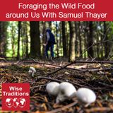 285: Foraging the Wild Food around Us