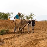 Niger : des pratiques traditionnelles pour préserver l’agriculture (magazine)