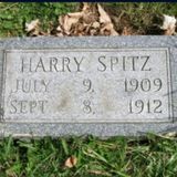 Police seeking assistance after gravestone of “Harry Spitz” stolen