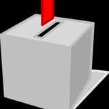 Il voto