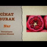 Cihat Burak - Nar