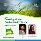 Boosting Wheat Production In Nigeria