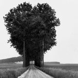 Annalisa Cittera "Henri Cartier-Bresson. Landscapes/Paysages"