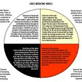 Simba Sweatlodge