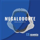 Megalodonte (Puntata Centoventisette)