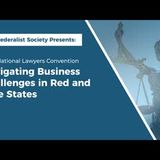Navigating Business Challenges in Red and Blue States