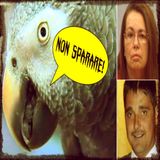UNICO TESTIMONE: UN PAPPAGALLO PARLANTE - Glenna Duram (Lo Strano Canale Podcast)