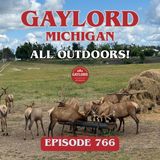 Gaylord: Michigan's top 'all outdoors' fall destination (Aug. 22-23, 2026)