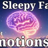100 Most Relaxing Facts About Sleep to Fall Asleep To