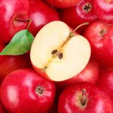 Italia primo esportatore mondiale di mele