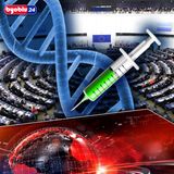 Vaccini OGM senza controlli, via libera dall'UE