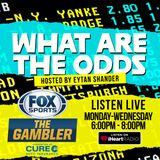 Joe Asher - CEO of William Hill on What are the Odds?