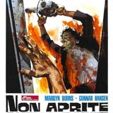 Non aprite quella porta (1974) - MiniRecensione