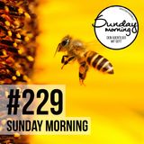 ZWISCHEN LOSLASSEN UND NICHT AUFGEBEN | Sunday Morning #229