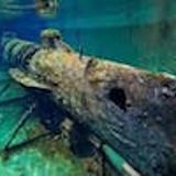 Charleston's Maritime Marvels