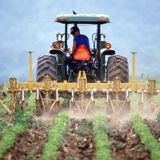 Noticias del sector: El paro en la agricultura subió un 1,87 % en octubre