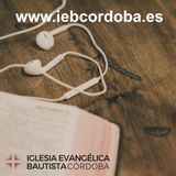 Piensa, obedece, ora - Samuel Sanz