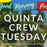 Quinta Crew Tuesday - Living the Dream in Rural Portugal on Good Morning Portugal!