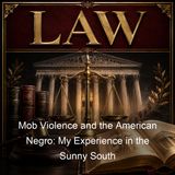 Mob Violence and the American Negro My Experience in the Sunny South - Velley Lester