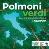 Polmoni Verdi