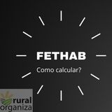 Como calcular o FETHAB?