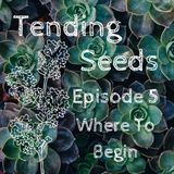 Ep 5 - Where to Begin